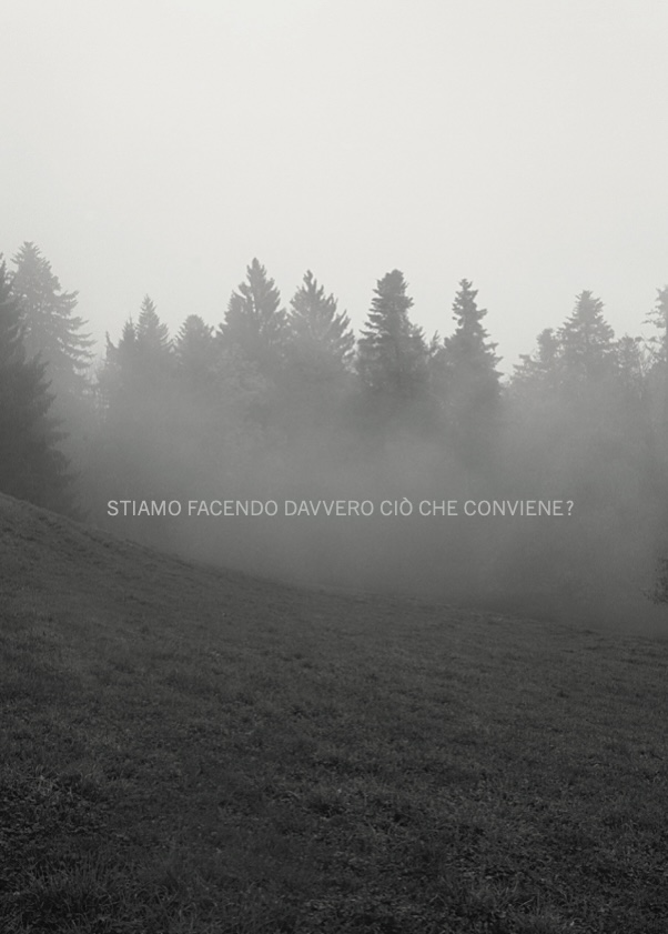 ROVALDI_WALSER
